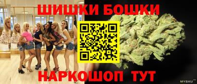 молекула духа Будённовск