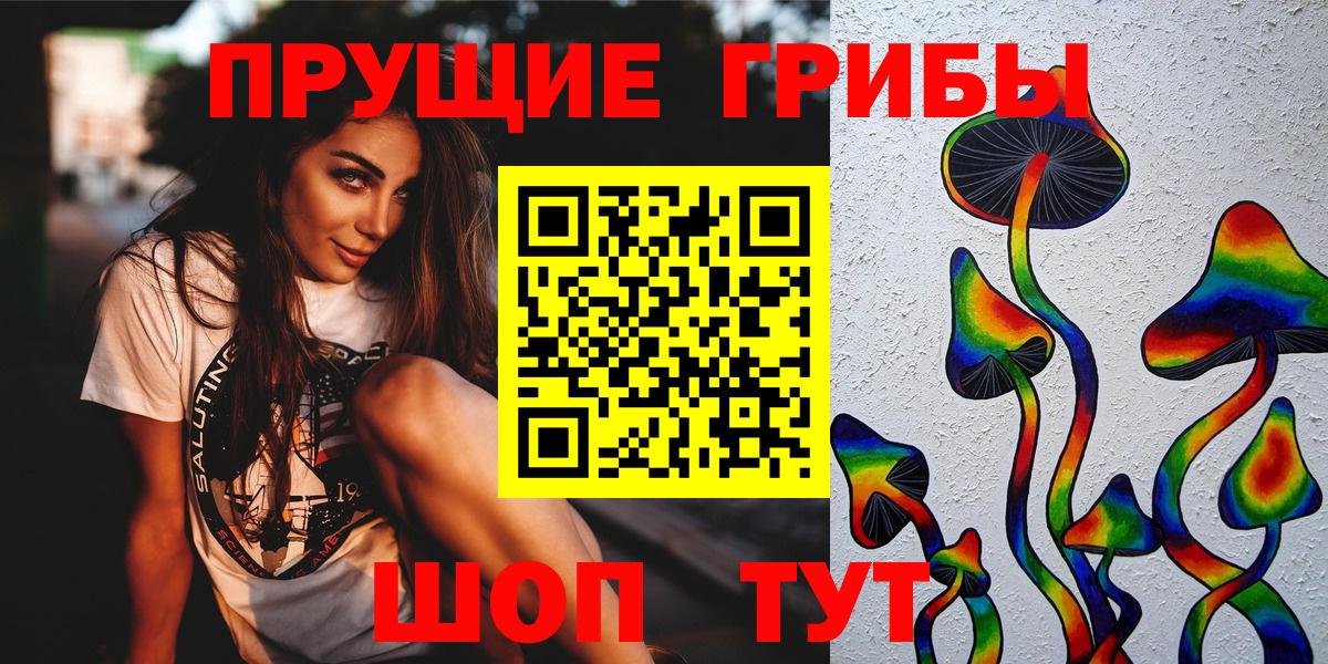 Сердобск  Псилоцибиновые грибы Psilocybe  Вход с VPN 